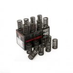 Piper Single Valve Springs Ford 1.8/2.0 16v Zetec Silver Top