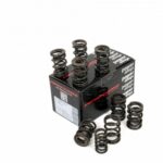 Piper Double Valve Springs BMC A Series