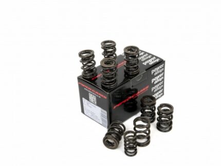 Piper Double Valve Springs BMC A Series