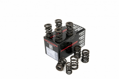 06FA6D21-8A41-BE48-9656-0C05D6575D13 Piper Double Valve Springs BMC A Series - Image 1