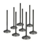 Supertech Valve Kit Int Sub EZ30 w/AVCS 35mm (Std) Blk Nitr