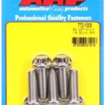 M10 x 1.50 x 30 12pt SS bolts (5pcs)