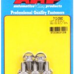 "5/16""-24 x .560 12pt SS bolts" (5pcs)