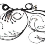 Haltech Nexus R5 LSx DBW Terminated Harness