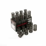Piper Single Valve Springs Mitsubishi 4B11T Evo 10