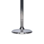 Manley Titanium Series Chevy LS-7 Intake Valve Kit - Image 4