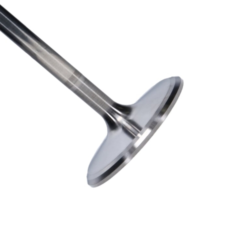 13EB774E-36FC-FB99-6F65-F5CFBA69CCAA Manley Titanium Series Chevy LS-7 Intake Valve - Image 1