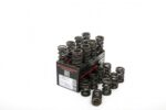 Piper Double Valve Springs Ford 2.0L YB