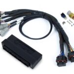 Haltech Nexus S3 Plug 'n' Play Adapt Harn Subaru WRX 01-05