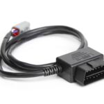 Haltech Ford MK1 Radio DTM4 CAN to OBDII CAN Cable 0.8 / 2.6
