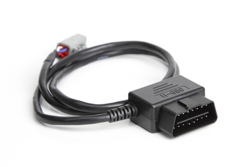 15492D97-C78E-FB93-8349-DC0CE7B37FE7 Haltech Ford MK1 Radio DTM4 CAN to OBDII CAN Cable 0.8 / 2.6 - Image 1