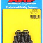 M8 x 1.25 x 16 12pt black oxide bolts (5pcs)
