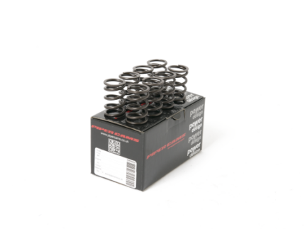 Piper Single Valve Springs Opel C12/C13/C14/C16 GSI