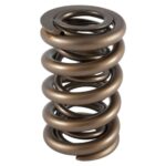 PAC Circle Track 1200 Series Valve Spring 1.244 OD Dual
