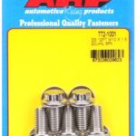 M10 x 1.50 x 20 12pt SS bolts (5pcs)