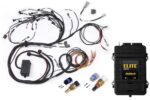 Haltech RB Term Harness Base Kit, Elite 2500 ECU, ATS, CTS