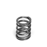 Supertech Valve Spring Set Honda D15/16/17