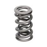 Manley Valve Spring 1.324 DOUBLE - Image 3