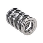 Manley Valve Spring 1424 POLISHED - Image 2