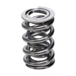 Manley Valve Spring 1425 POLISHED - Image 3