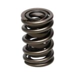 Manley Valve Spring 1.530 DOUBLE - Image 3