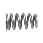 Manley Valve Spring 1.311 SINGLE - Image 4