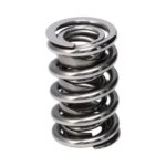 Manley Valve Spring 1440 POLISHED - Image 3