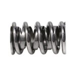 Manley Valve Spring 1440 POLISHED - Image 4