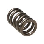 Manley Valve Spring NISSAN PATROL TB48 - Image 2