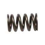 Manley Valve Spring NISSAN RB26DETT - Image 4
