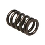 Manley Valve Spring NISSAN RB26DETT - Image 2