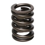 Manley Valve Spring 1.550 SINGLE - Image 3