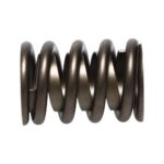 Manley Valve Spring 1.550 SINGLE - Image 4