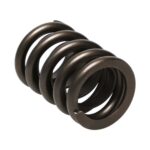 Manley Valve Spring 1.550 SINGLE - Image 2