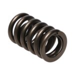 Manley Valve Spring 1.250 SINGLE - Image 2