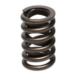 Manley Valve Spring 1.250 SINGLE - Image 3