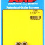ARP 5/16-24 SS 12pt nut kit