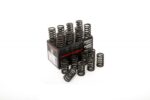 Piper Single Valve Springs Opel Astra H VXR 2.0L T