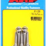 "1/4""-20 x 1.250 12pt SS bolts" (5pcs)