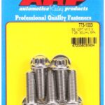 M10 x 1.25 x 30 12pt SS bolts (5pcs)
