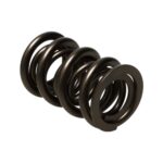 Manley Valve Spring Kit NexTek Spring - Image 2