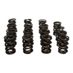 Manley Valve Spring Kit NexTek Spring - Image 3