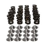 Manley Valve Spring Kit NexTek Spring - Image 5