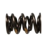 Manley Valve Spring Kit NexTek Spring - Image 6