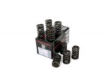 Piper Camshaft Kit BMC A Series - Image 5