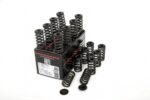 Piper Single Valve Spring Kit Ford 1.6L Ecoboost