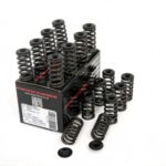 Piper Single Valve Spring Kit Ford 1.6L Ecoboost