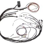 Haltech Elite 1000/1500 Maz 13B EV1 Term Main Harn Only No S
