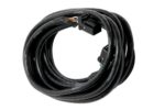 Haltech CAN Cable 8 pin Blk Tyco 8 pin Blk Tyco 1800mm (72")