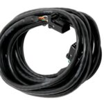 Haltech CAN Cable 8 pin Blk Tyco 8 pin Blk Tyco 1800mm (72")